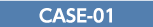 CASE-01