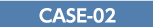 CASE-02